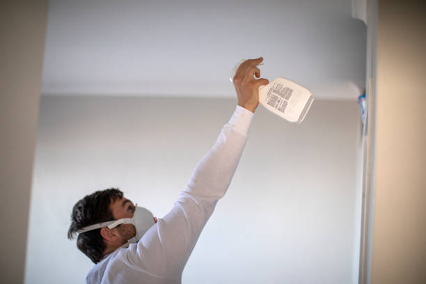 Best Mold Removal and Inspection  in Port Barre, LA