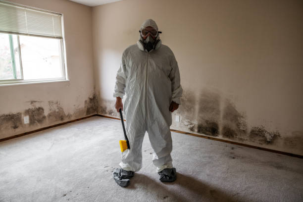 Best Mold Testing  in Port Barre, LA